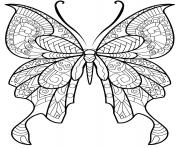 Coloriage papillon insecte jolis motifs 8