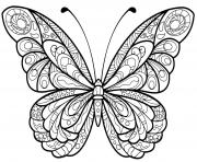 Coloriage papillon jolis motifs 5