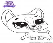 Coloriage Roxie littlest Pet Shop