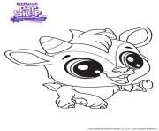 Coloriage Quincy littlest Pet Shop