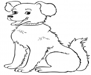 Coloriage chien adulte magnifique