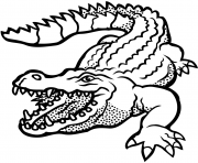 Coloriage crocodile americain vitesse 29 kmh