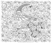 Coloriage paon oiseau symbole de fertilite et immortalite en inde