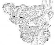 Coloriage koala australie zentangle antistress