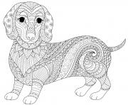 Coloriage chien saucisse dachshund teckel mandala animaux