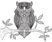 Coloriage hibou animaux adulte anti stress par bimbimkha