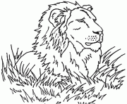 Coloriage lion dans la savanne