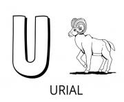 Coloriage lettre u comme urial