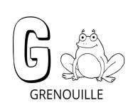 Coloriage lettre g comme grenouille