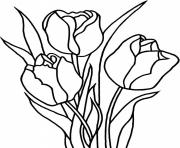 Coloriage fleur tulipe nenuphar