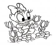 Coloriage disney daisy tulipes