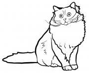 Coloriage Originaire de la France le chat sacre de Birmanie possede un poil mi long et des pieds d un blanc pur