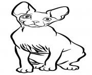 Coloriage sphynx est un chat originaire du Canada et ne possede quasiment aucune fourrure