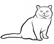 Coloriage une tete tres ronde le british shorthair est originaire de Grande Bretagne