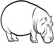 Coloriage Hippopotamus