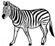 Coloriage zebre espece herbivores vivant en afrique