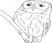 Coloriage hibou