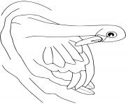 Coloriage cigne