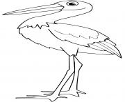 Coloriage cigogne