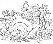 Coloriage escargot dansl la nature par Lesya Adamchuk