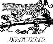 Coloriage le grand felin jaguar