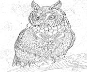 Coloriage zentangle eagle owl