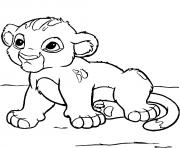 Coloriage bebe simba encore tout jeune