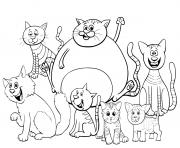 Coloriage des chats et chatons de toutes tailles