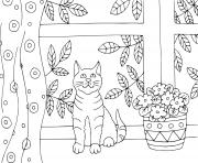 Coloriage un chaton pres de la fenetre dans sa maison