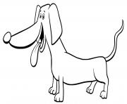 Coloriage petit chien teckel loyal et tres attache a son maitre