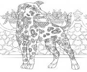 Coloriage chien du pharaon complexe antistress