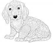 Coloriage chien mandala teckel saucisse allemand