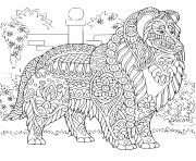 Coloriage chien mandala retriever de nouvelle ecosse