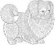 Coloriage chien mandala petit brabancon chien a poil court bruxellois