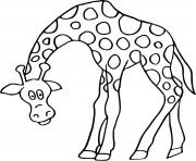 Coloriage girafe qui baisse tete