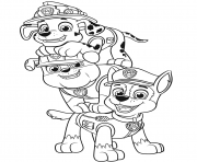 Coloriage Agreable Equipe Pat Patrouille Chiots Facile Maternelle