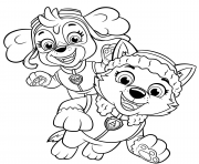 Coloriage Skye et Everest des chiots joyeux