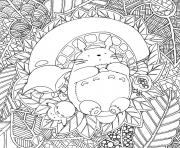 Coloriage Totoro de Ghibli par Chocobo