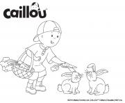 Coloriage caillou le grand garcon donne des carrotes aux lapins