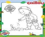 Coloriage caillou plante un arbre