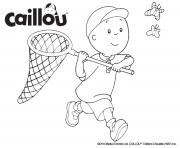 Coloriage caillou chasse les papillons