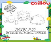 Coloriage caillou explorateur animaux et insectes