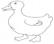 Coloriage Canard