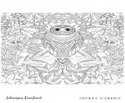 Coloriage Owl From Secret Garden