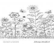 Coloriage Flower Meadow From Secret Garden