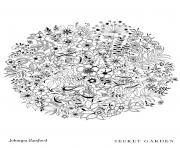 Coloriage Floral Sphere From Secret Garden