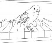 Coloriage perroquet sur un piano