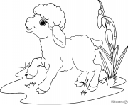 Coloriage mouton agneau adorable kawaii facile