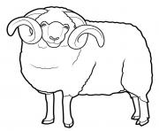 Coloriage mouton aid