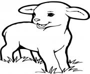 Coloriage bebe mouton